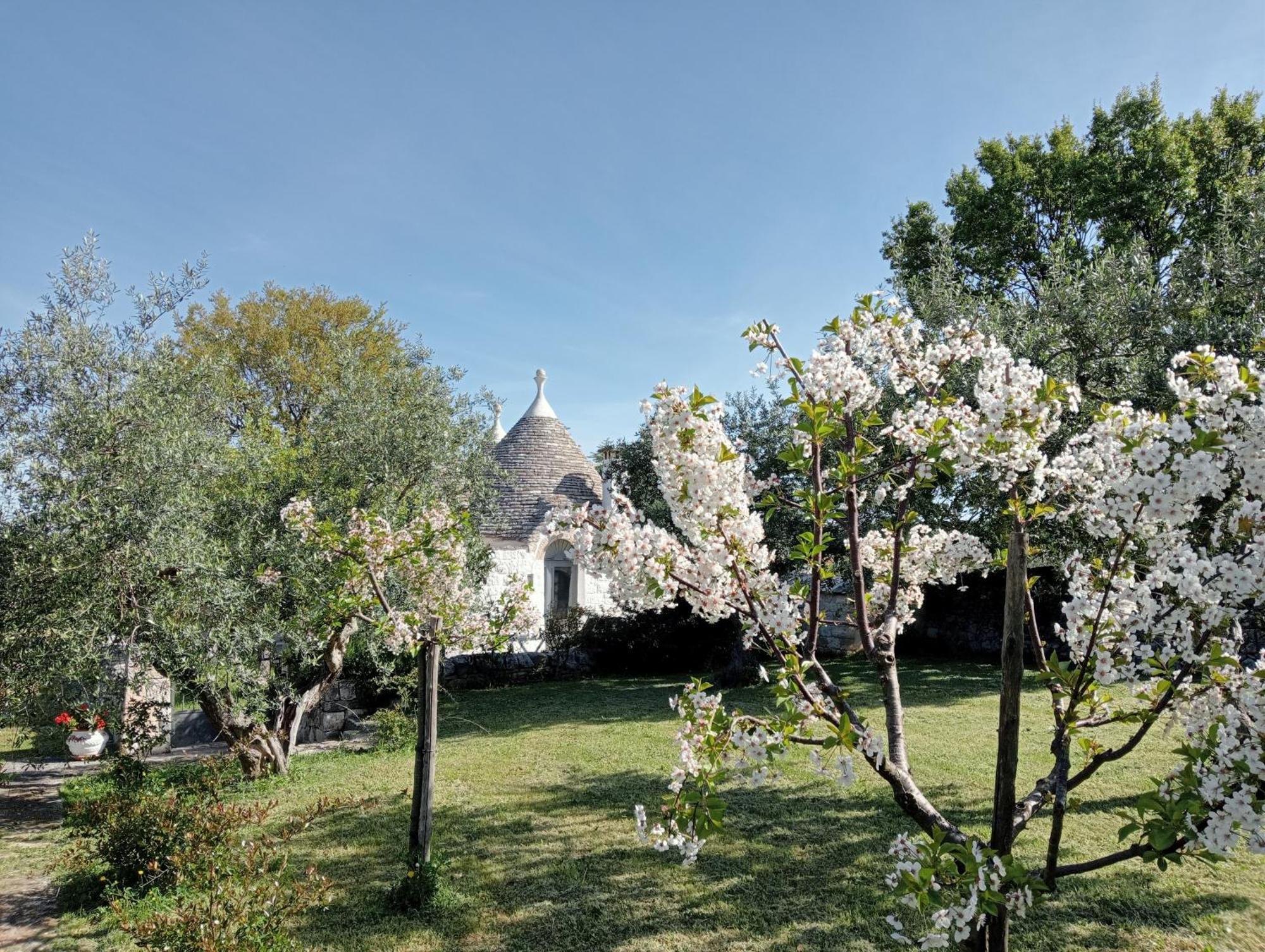 Trulli Manuela Locorotondo Exterior foto